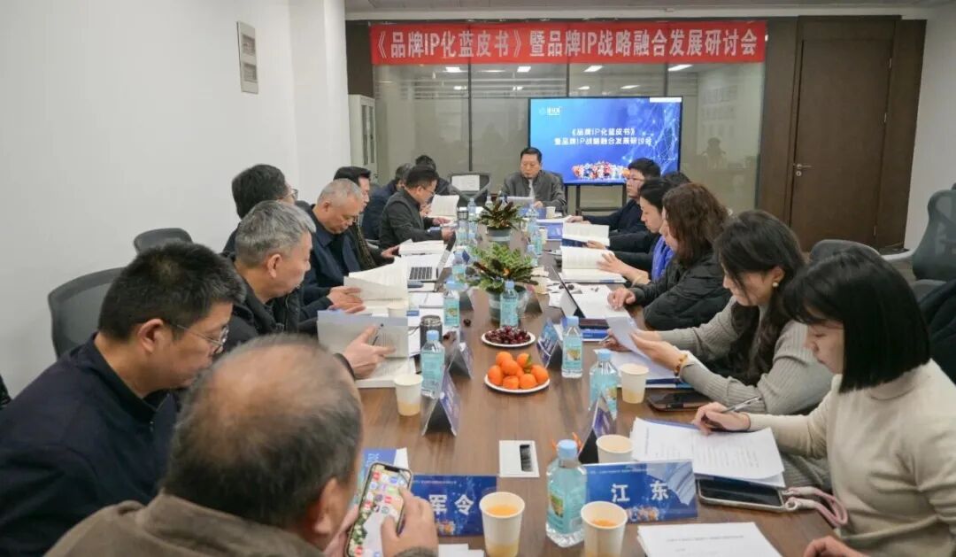 协同创新,融合共生!《品牌 IP 化蓝皮书》暨品牌 IP 战略融合发展研讨会圆满举办
